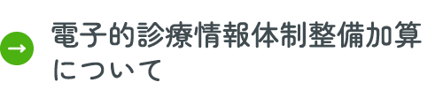 電子的診療情報体制整備加算について